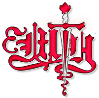 Только меч и ВМ (200х200)